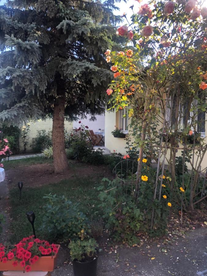 Das kleine Haus Breitenbrunn  Exterior foto