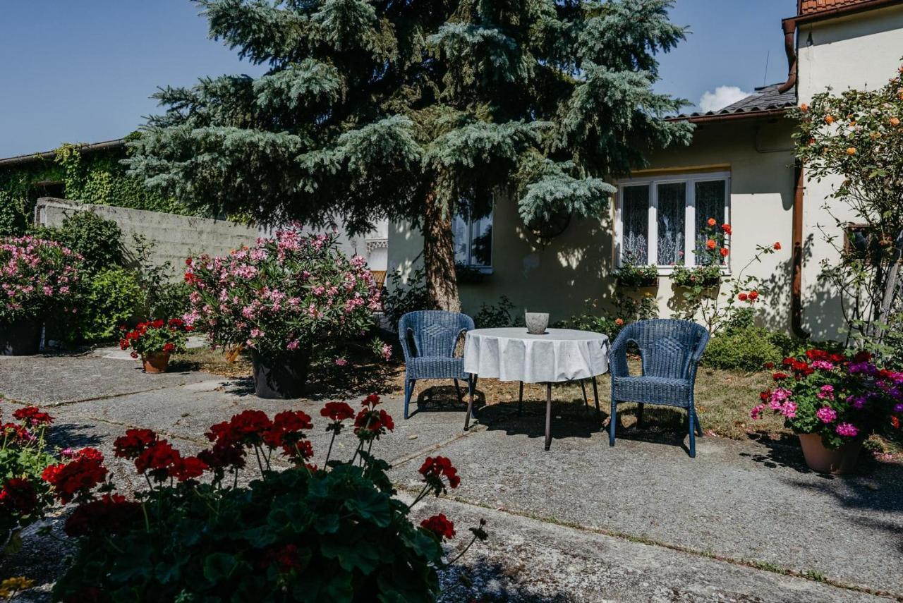 Das kleine Haus Breitenbrunn  Exterior foto