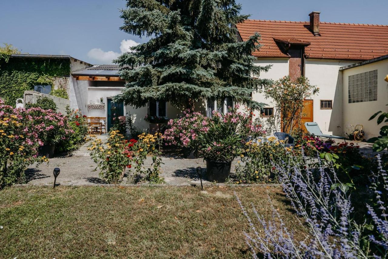 Das kleine Haus Breitenbrunn  Exterior foto